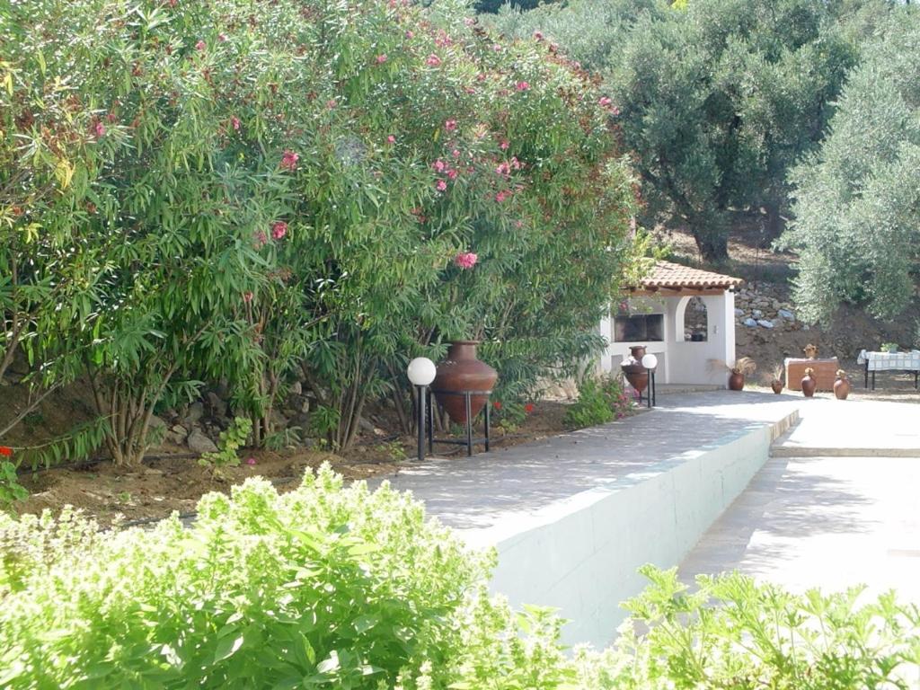Villa Maro Skopelos Extérieur photo