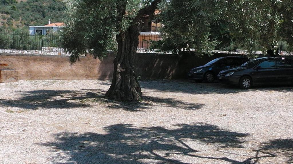 Villa Maro Skopelos Extérieur photo